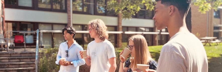 undergraduates